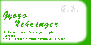 gyozo mehringer business card